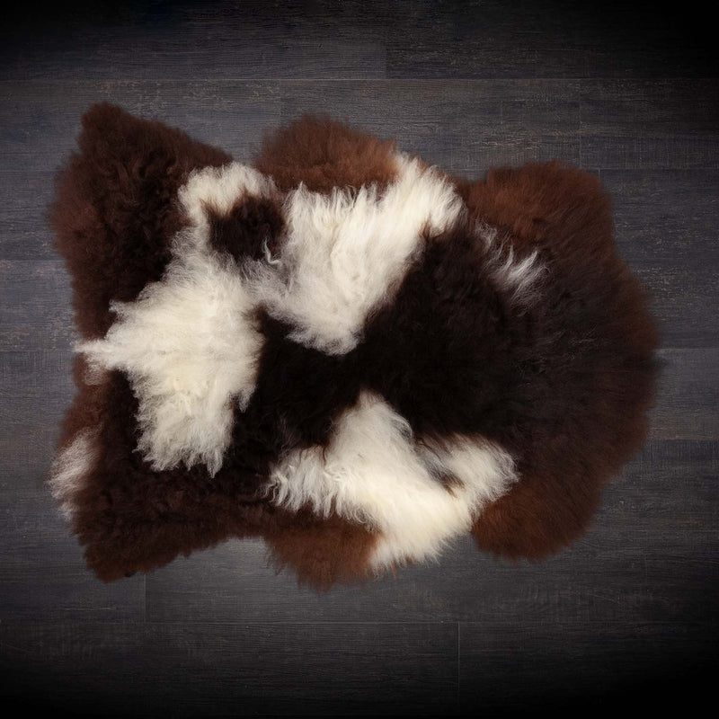 A piebald Jacob sheepskin,  mainly brown with white. Approx 110-120 x 55-70 CMS.