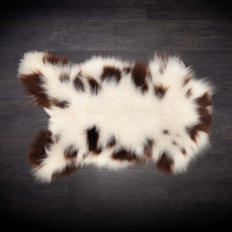 A piebald British Jacobs sheepskin,  mainly white with brown spots. Approx 100-110 x 55-68 CMS.