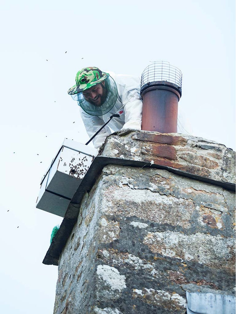 Harry the Bee on the Chimney