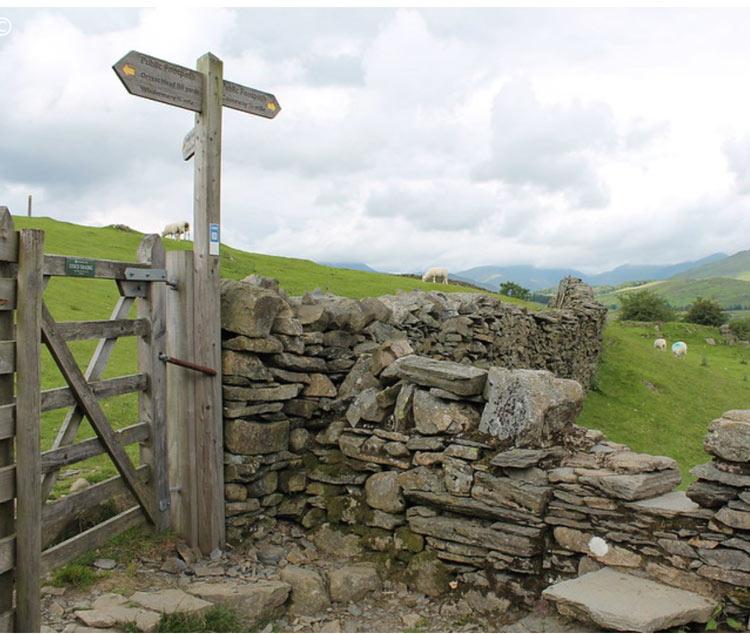 Sustainability of Sheep Farming.