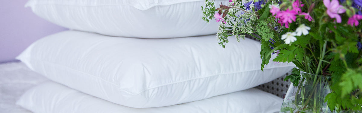 Pillows & Protectors