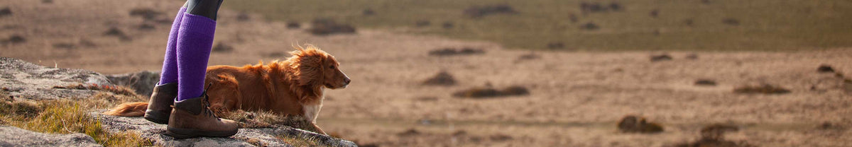 Autumn 2018 Collection