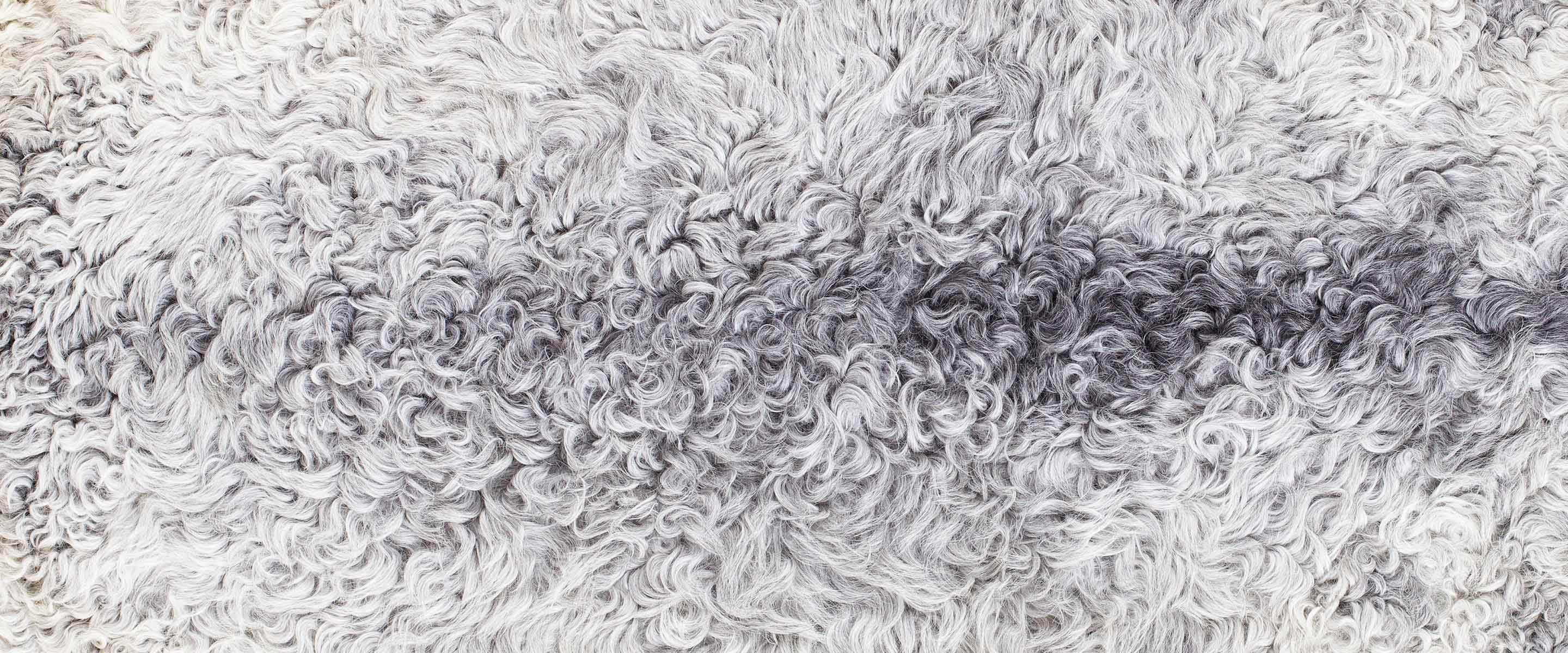 Gotland & Icelandic Sheepskin Rugs | The Wool Company