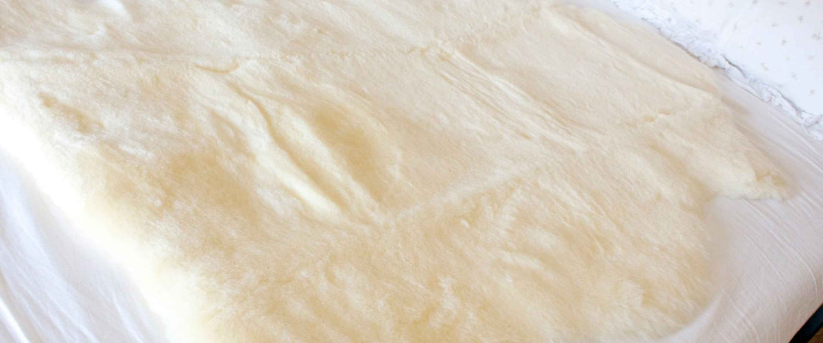 Soft, dense, and supportive shorn sheepskins, cushions, and throws, natural and dyed styles for chairs, beds, and wheelchairs