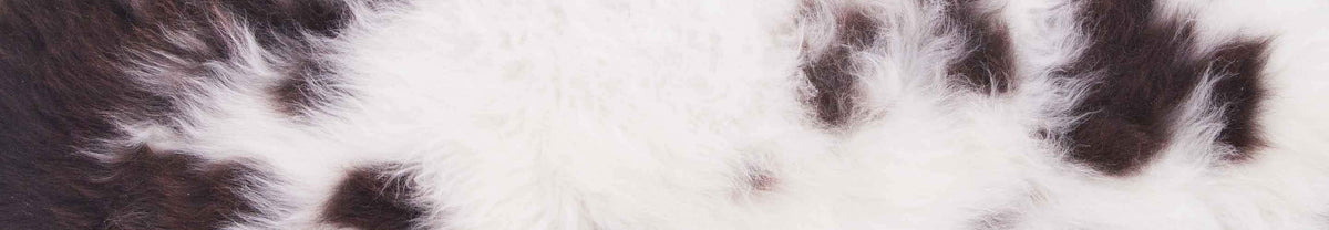 Practical and useful collection of sheepskin care products, sheepskin brushes, and highly recommended woolwash detergent