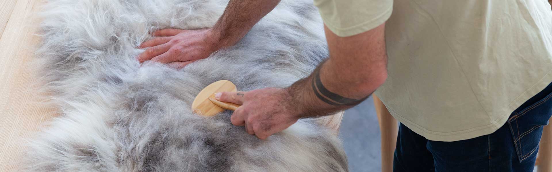 Practical and useful collection of wool care products from sheepskin brushes, natural moth repellent, and woolwash detergent