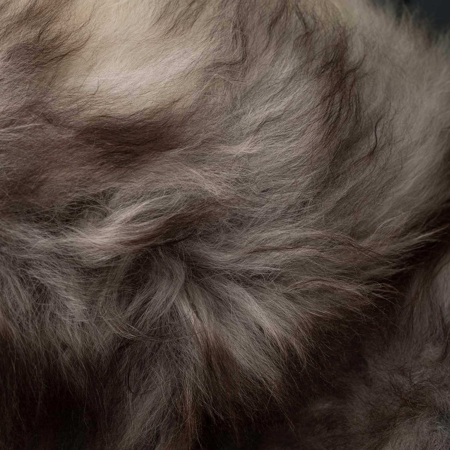 Eco Tanned Icelandic Sheepskin Grey Marble