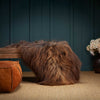 Eco Tanned Golden Natural Brown Icelandic Sheepskin