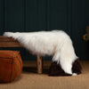 Himalayan Natural Piebald Sheepskin
