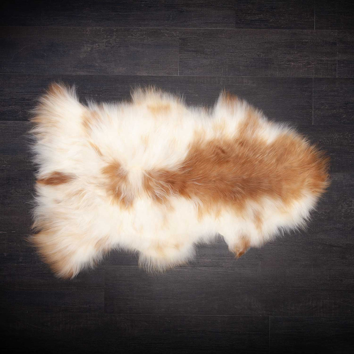 A stunning natural white Himalayan sheepskin with contrasting bold natural ginger toned spots. Approx size 86-98 × 52-65 CMS.