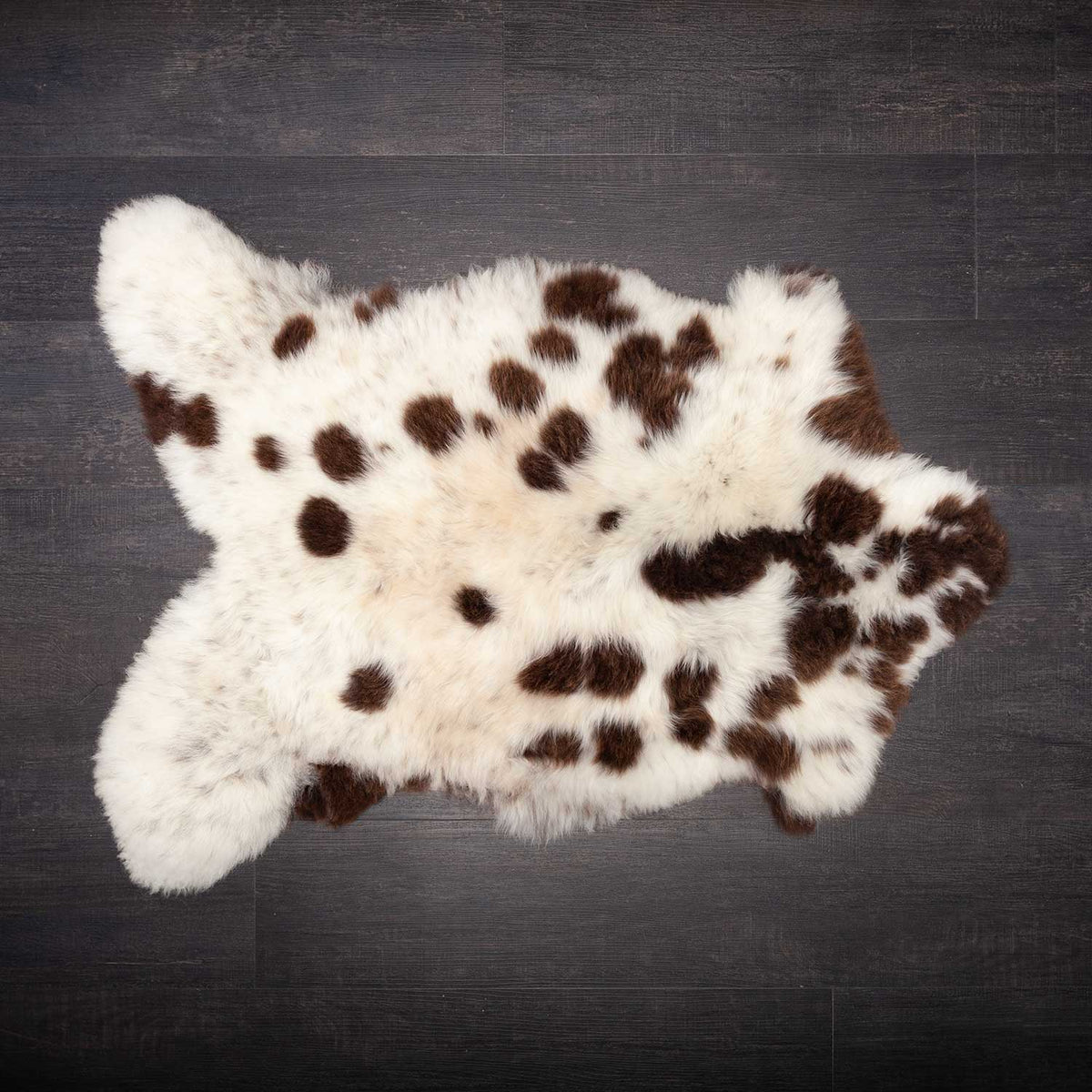 A piebald British Jacobs sheepskin,  mainly white with brown spots. Approx 90-100 x 55-65 CMS.