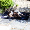 Luxury Sheepskin Pet Bed