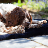 Luxury Sheepskin Pet Bed