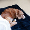 Luxury Sheepskin Pet Bed