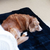 Luxury Sheepskin Pet Bed