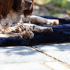 Luxury Sheepskin Pet Bed