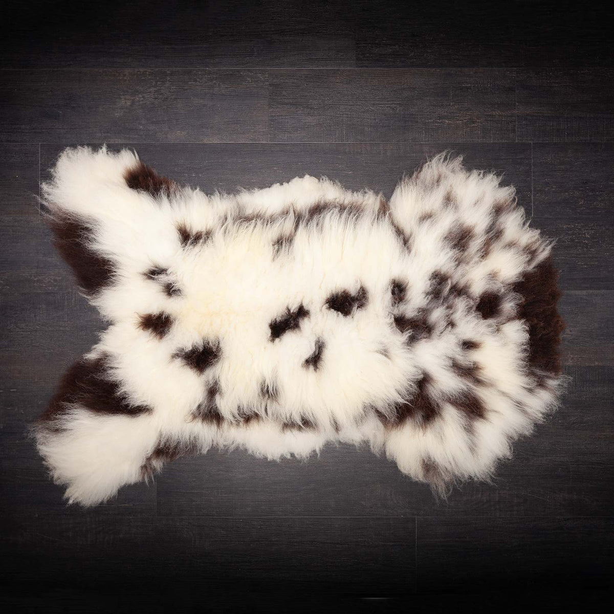 This sheepskin rug features the trademark piebald brown and white markings unique to the rare Jacob. breed. Being a seconds, these sheepskins will have minor imperfections. Approx size 96-120 x 50-75 CMS.