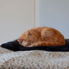 Luxury Sheepskin Pet Bed