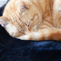 Luxury Sheepskin Pet Bed