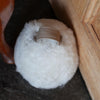 Sheepskin Doorstop in white curly sheepskin with ecru leather carry handle
