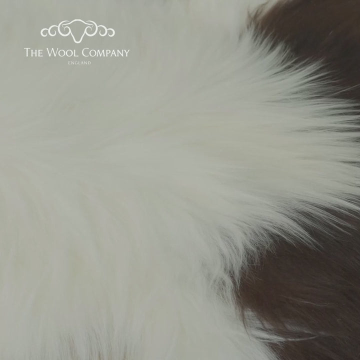 Himalayan Natural Piebald Sheepskin