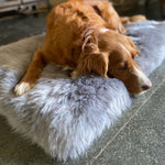 Small super-soft & silky longwool fleece padded sheepskin pet bed non-slip backing silver-grey tones By The Wool Company