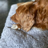 Small super-soft curly fleece padded sheepskin pet bed non-slip backing in silver-grey tones By The Wool Company