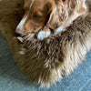 Medium super-soft & silky longwool fleece padded sheepskin pet bed non-slip backing warm brown tones 84 x 52cm