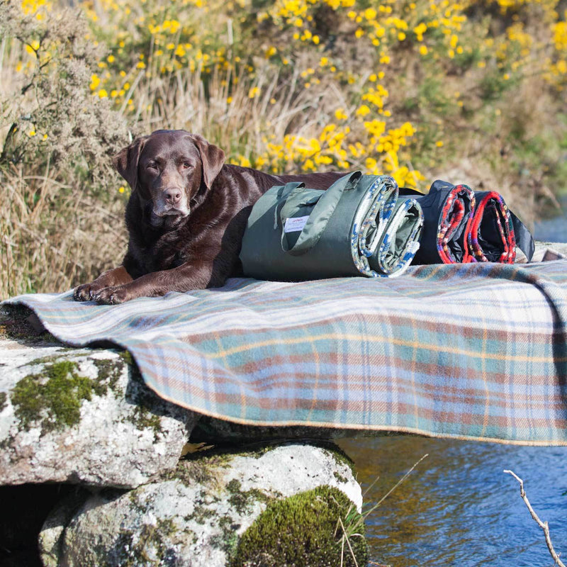 Dress Gordon tartan picnic rug chocolate brown damp proof backing 100% pure new wool made in Scotland top-quality